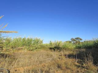 Ktimatoemporiki Maleme Plot for sale Chania