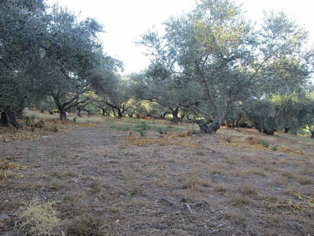 Seaview Plot for sale in Platanias Chania