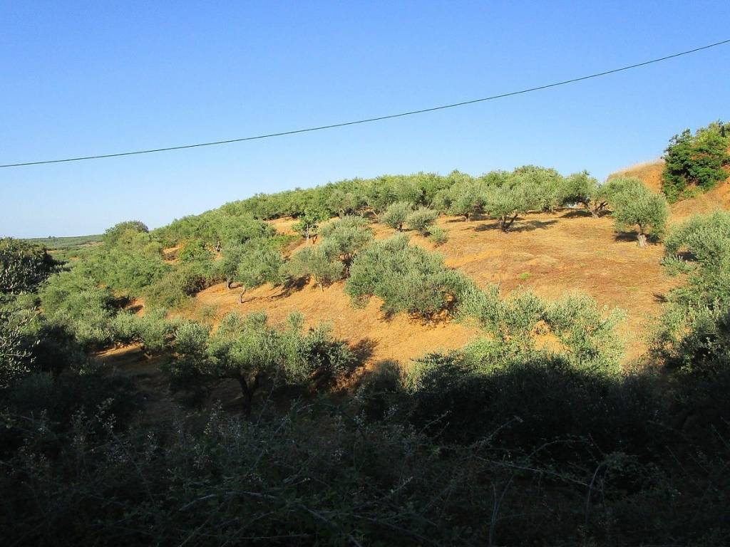 Seaview Plot for sale in Platanias Chania