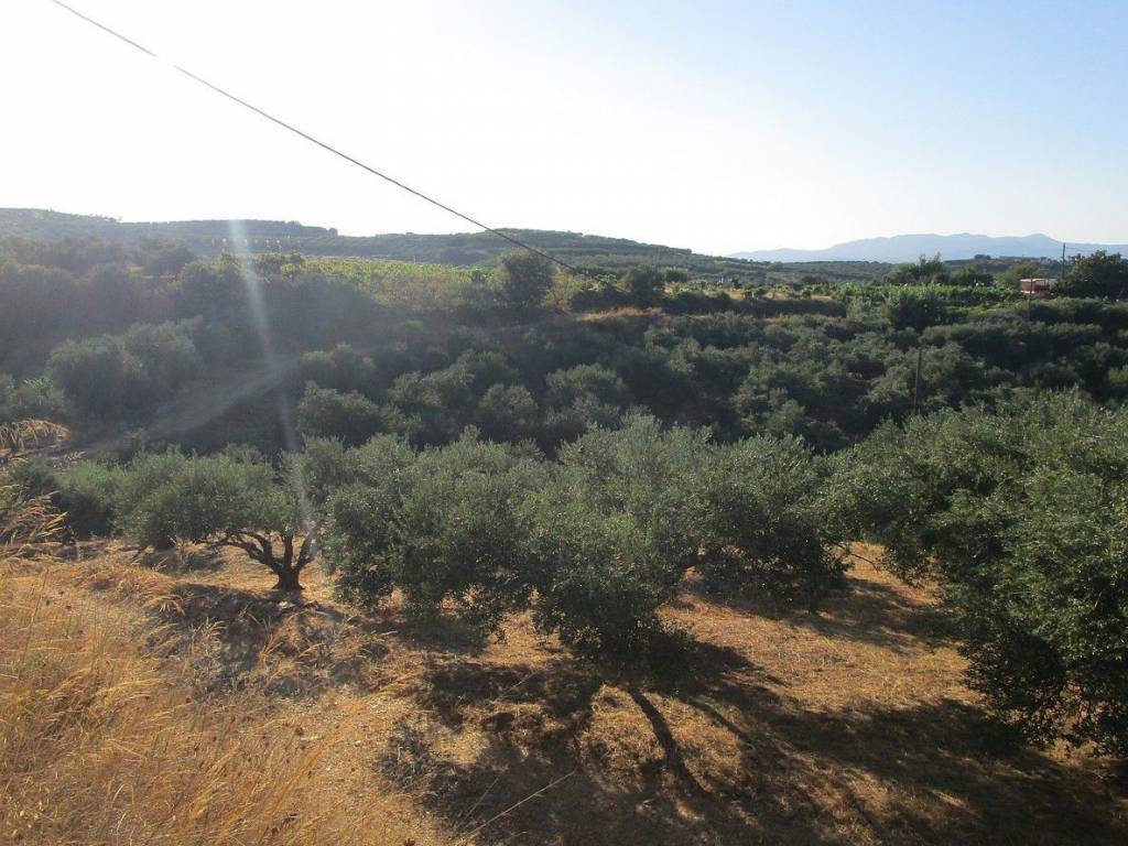 Seaview Plot for sale in Platanias Chania