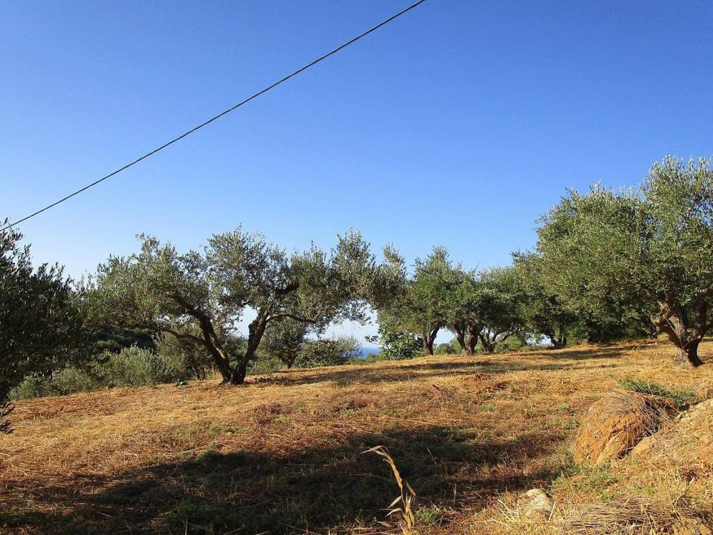 Seaview Plot for sale in Platanias Chania