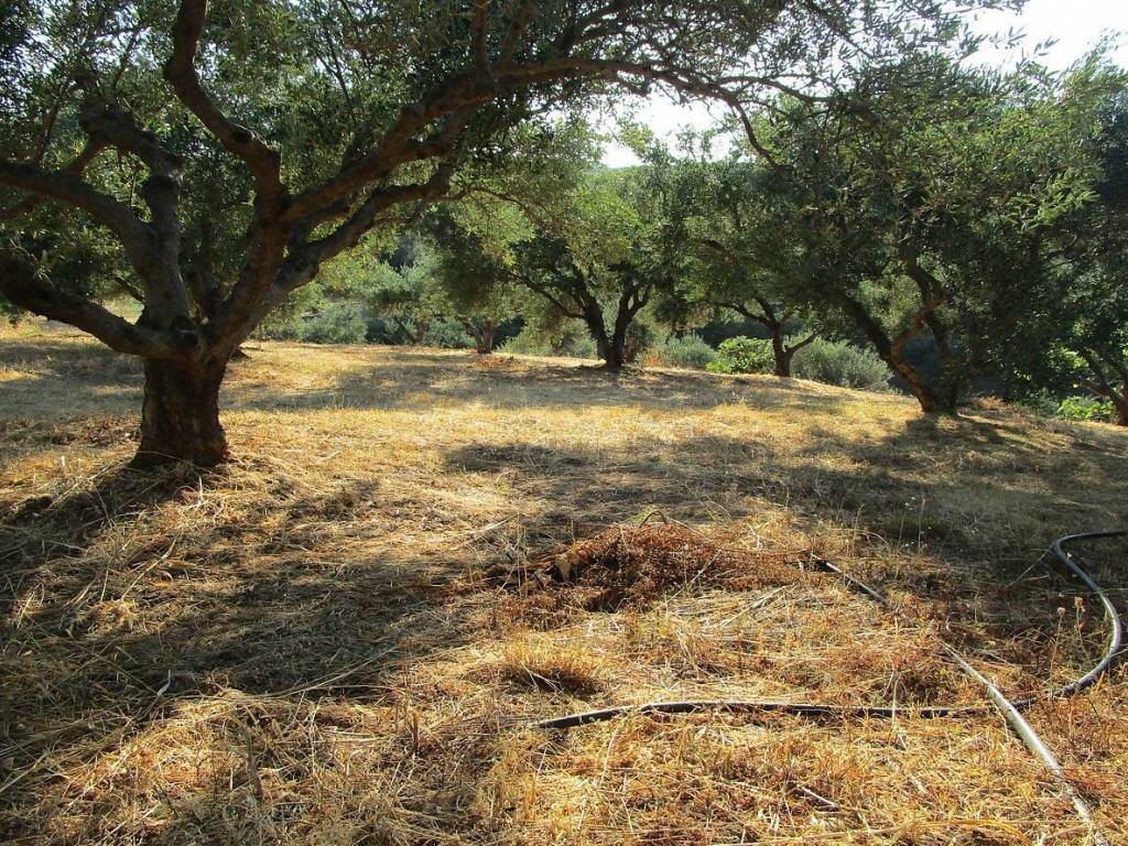 Seaview Plot for sale in Platanias Chania