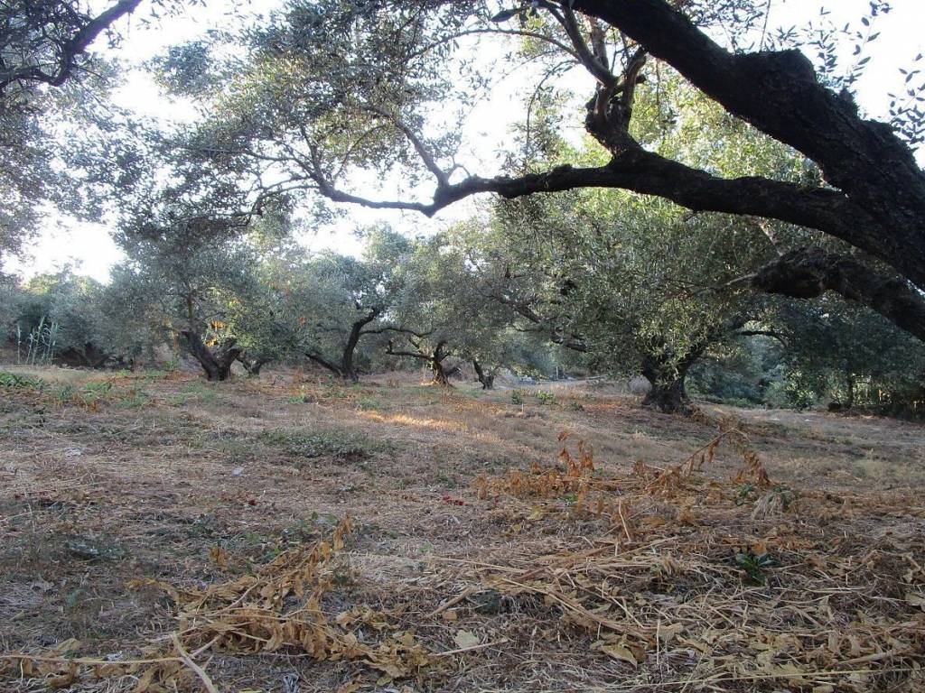 Seaview Plot for sale in Platanias Chania