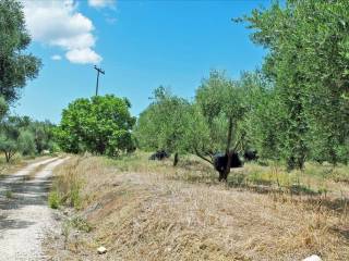 17 - Πωλείται 1-όροφη μονοκατοικία έκτασης 166 τμ στην Κέρκυ.