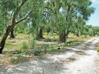 18 - Πωλείται 1-όροφη μονοκατοικία έκτασης 166 τμ στην Κέρκυ.