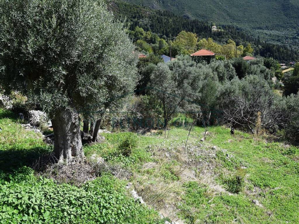 Το οικόπεδο με την ήπια κλίση