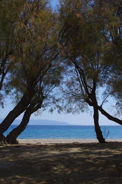 Logaras beach