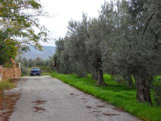 ΕΙΣΟΔΟΣ ΟΙΚΟΠΕΔΟΥ