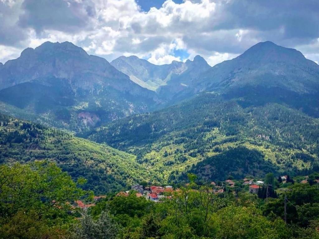 Η ΒΛΑΣΤΗΣΗ ΣΤΗΝ ΠΕΡΙΟΧΗ ΕΧΕΙ ΜΕΓΑΛΗ ΠΟΚΙΛΙΑ