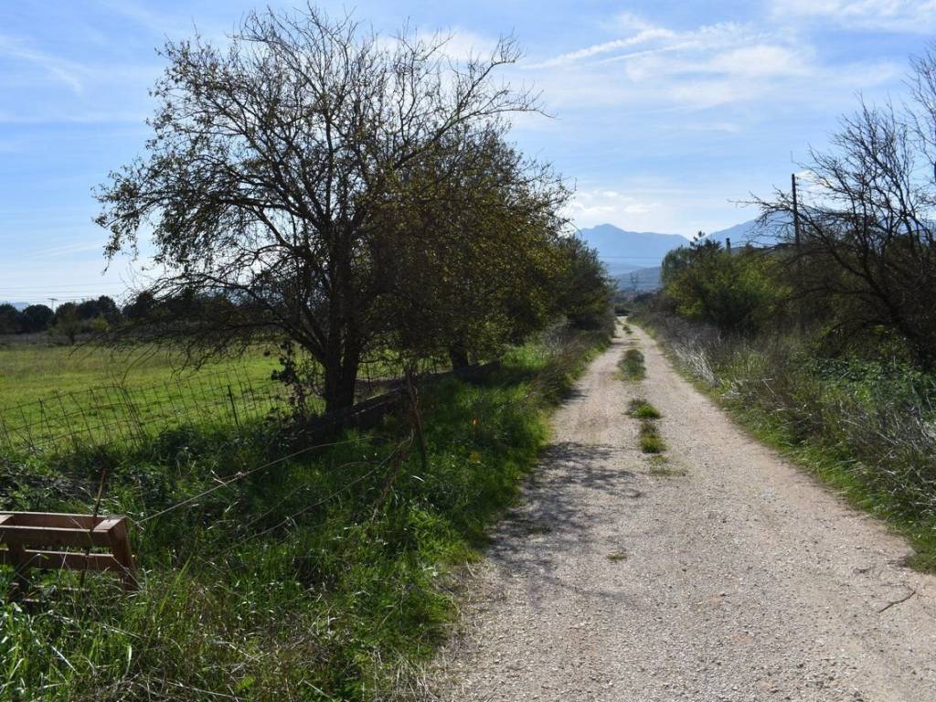 ΑΠΟΨΗ ΑΓΡΟΤΕΜΑΧΙΟΥ