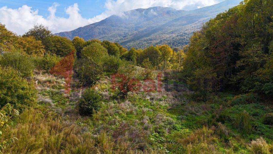 Αγροτεμάχιο