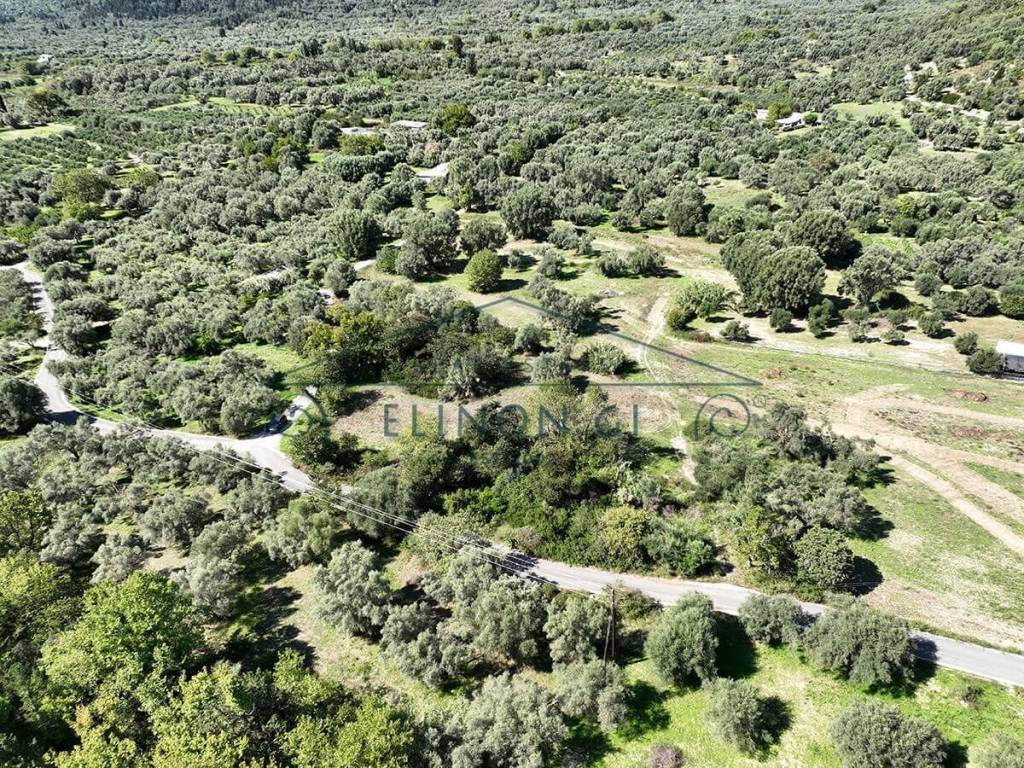 Το μεγάλο αγροτεμάχιο από ψηλά