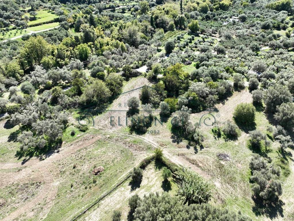 Το μεγάλο αγροτεμάχιο από ψηλά