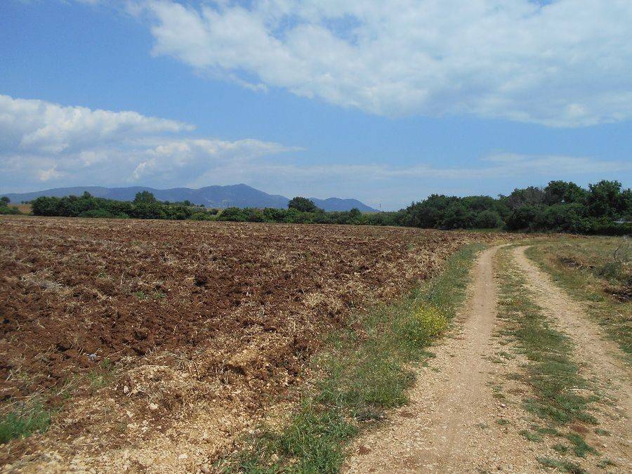 ΔΥΤΙΚΗ ΟΨΗ ΑΓΡΟΤΕΜΑΧΙΟΥ