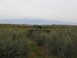 ΕΞΩΤΕΡΙΚΟΣ ΧΩΡΟΣ