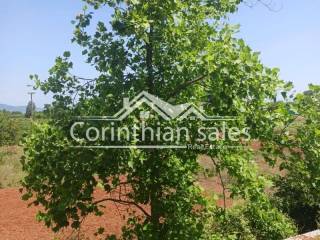 Κήπος,Θέα από μπαλκόνι