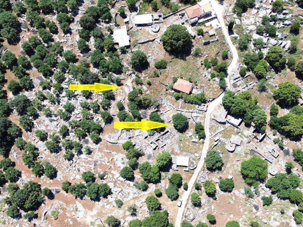 Aerial view and location of the property