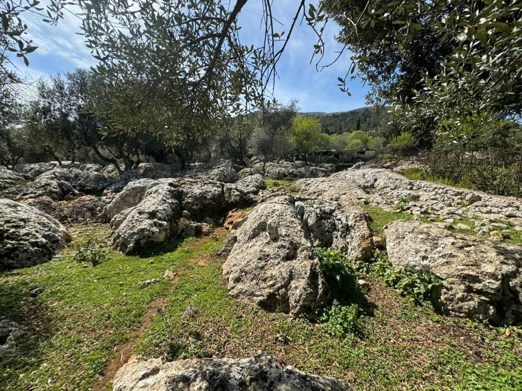 Terrain and landscape of the property