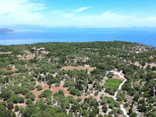 Aerial view of the surrounding area