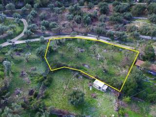 Aerial view and border of the property