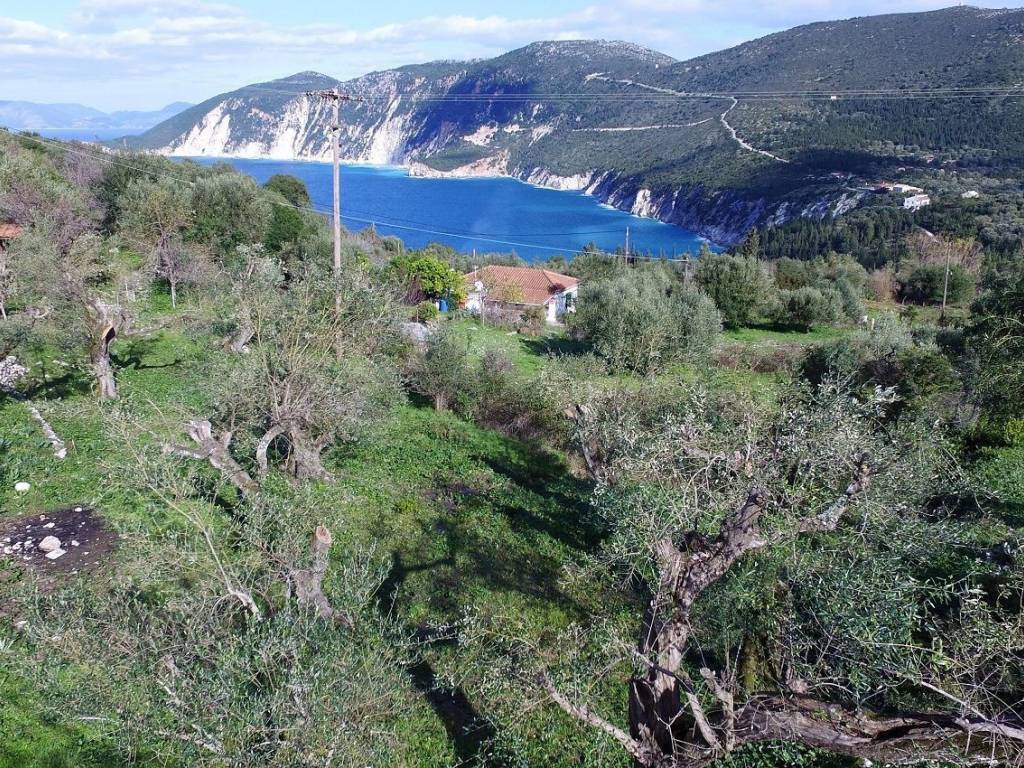 Aerial view of the property