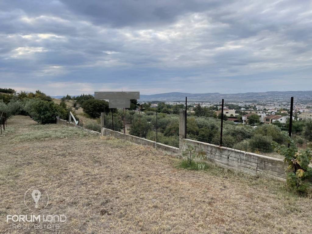 Forumland Real Estate, Αγροτεμάχιο 2.900τ.μ.