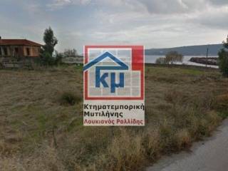 ΘΕΑ ΑΠΟ ΤΟ ΟΙΚΟΠΕΔΟ 