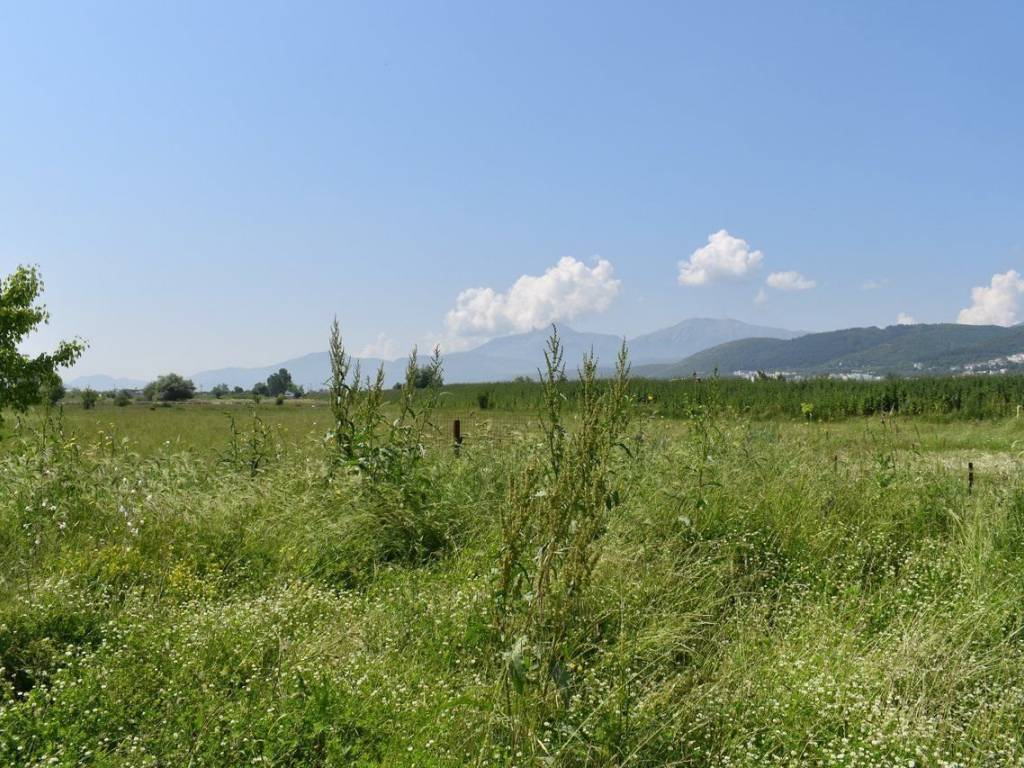 ΑΠΟΨΗ ΑΓΡΟΤΕΜΑΧΙΟΥ