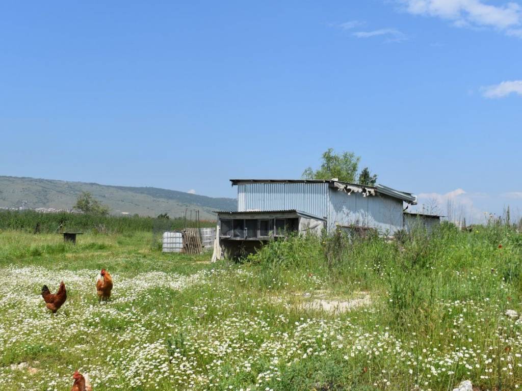 ΑΠΟΨΗ ΑΓΡΟΤΕΜΑΧΙΟΥ