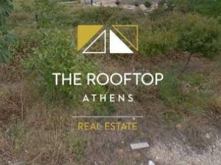 Οικόπεδο ( εικόνα 2)