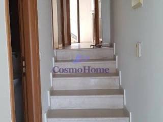 ΕΣΩΤΕΡΙΚΕΣ ΣΚΑΛΕΣ | ΧΟΛ