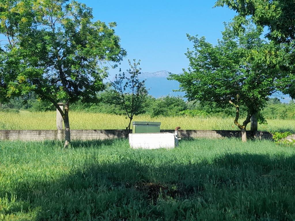 Αρτεσιανό στο πίσω μέρος του οικοπέδου