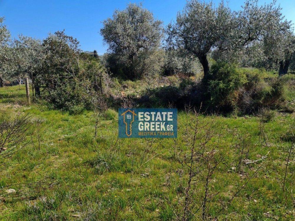 ★ Quiet area ★ Ideal for Residential ★ Can build 256sqm ★ 