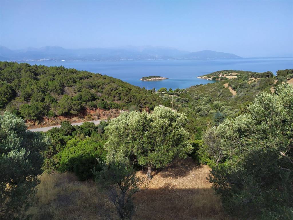 Η ΘΕΑ ΑΠΟ ΤΟ ΜΠΑΛΚΟΝΙ