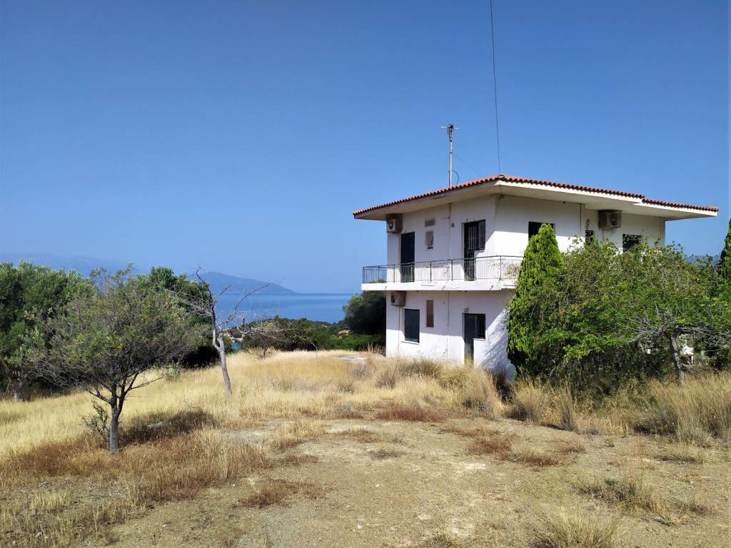 ΑΠΛΕΤΗ ΘΕΑ ΣΤΟΝ ΚΟΡΙΝΘΙΑΚΟ