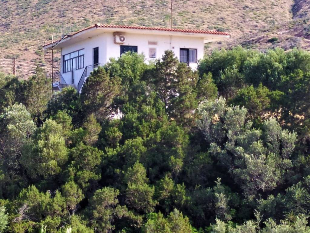 Η ΚΑΤΟΙΚΙΑ ΒΡΙΣΚΕΤΑΙ ΣΕ ΟΙΚΟΠΕΔΟ 6 ΣΤΡΕΜΑΤΩΝ