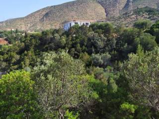 ΤΟ ΟΙΚΟΠΕΔΟ ΑΠΛΩΝΕΤΑΙ ΣΤΗ ΝΟΤΙΑ ΠΛΑΓΙΑ ΤΟΥ ΛΟΦΟΥ