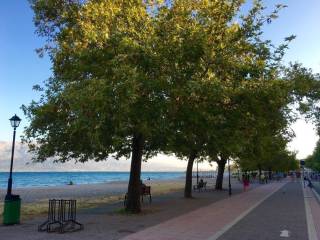 ΠΕΖΟΔΡΟΜΟΣ ΣΤΗΝ ΠΑΡΑΛΙΑ ΤΗΣ ΨΑΝΗΣ