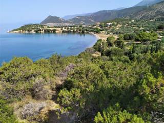 Ο ΟΡΜΟΣ ΤΗΣ ΑΓΙΑΣ ΕΙΡΗΝΗΣ ΤΟΛΟΦΩΝΟΣ