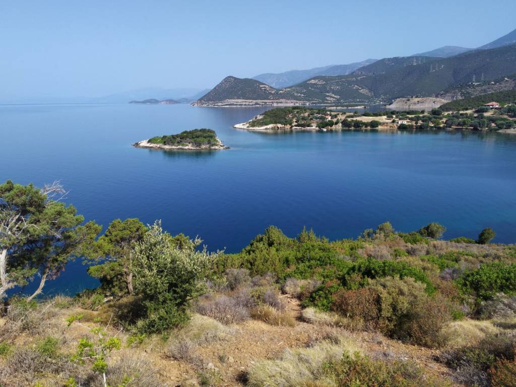 ΤΟ ΓΛΑΡΟΝΗΣΙ ΚΑΙ Ο ΟΡΜΟΣ.