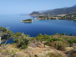 ΤΟ ΓΛΑΡΟΝΗΣΙ ΚΑΙ Ο ΟΡΜΟΣ.