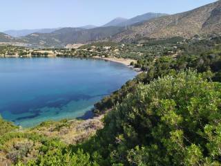 Ο ΟΡΜΟΣ ΚΑΤΩ ΑΠΟ ΤΗΝ ΚΑΤΟΙΚΙΑ