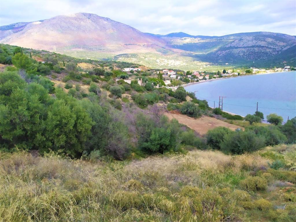 ΔΟΜΗΣΗ 400 Τ.Μ.ΕΚΑΣΤΟ