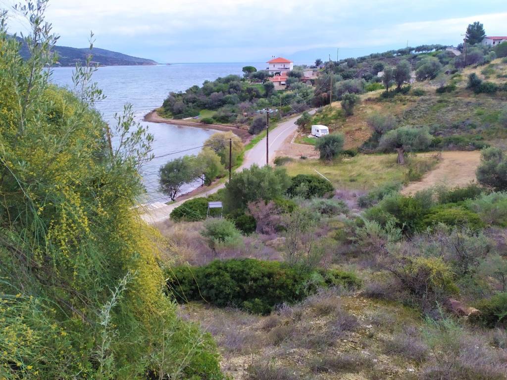 ΑΠΛΕΤΗ ΘΕΑ ΣΤΟΝ ΟΡΜΟ ΤΗΣ ΛΕΜΟΝΙΑΣ