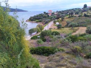 ΑΠΛΕΤΗ ΘΕΑ ΣΤΟΝ ΟΡΜΟ ΤΗΣ ΛΕΜΟΝΙΑΣ