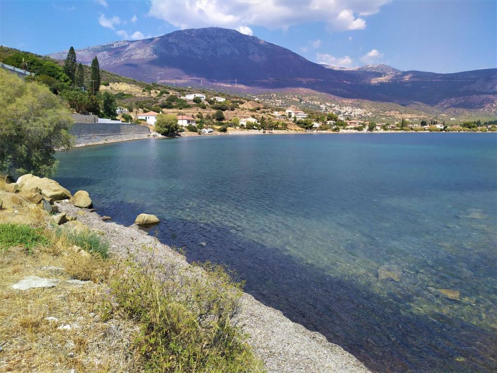 ΑΠΟΨΗ ΤΟΥ ΟΡΜΟΥ ΚΟΙΤΩΝΤΑΣ ΑΝΑΤΟΛΙΚΑ