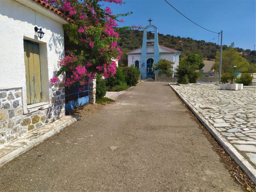 ΚΟΝΤΑ ΣΤΟ ΛΙΜΑΝΙ ΤΟΥ ΠΑΝΟΡΜΟΥ