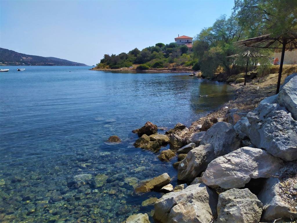 ΚΟΙΤΩΝΤΑΣ ΔΥΤΙΚΑ