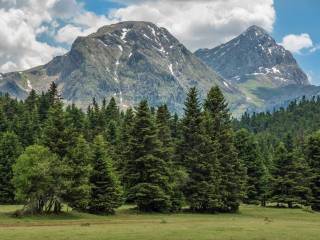 ΟΡΕΙΝΗ ΦΩΚΙΔΑ