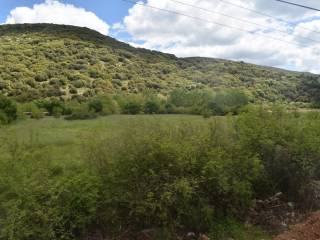 ΑΠΟΨΗ ΑΓΡΟΤΕΜΑΧΙΟΥ